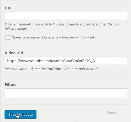 Ajouter l'URL de la vidéo