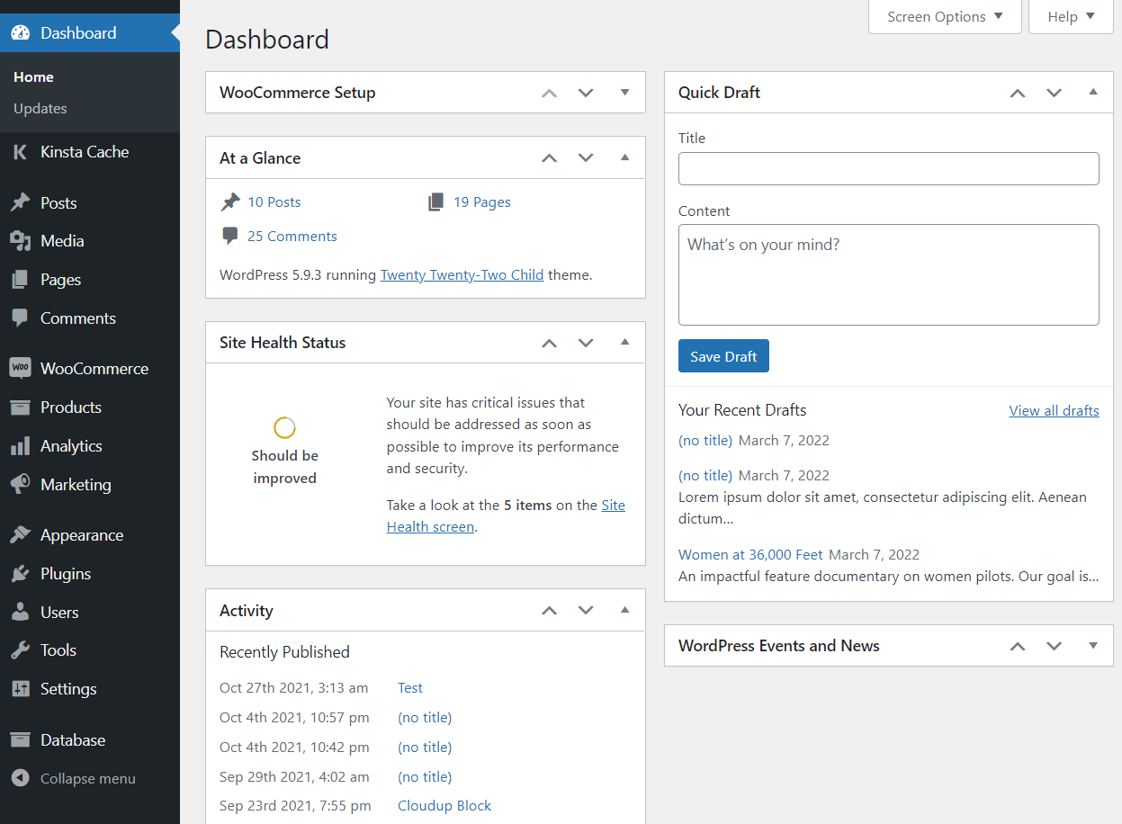 Painel do WordPress