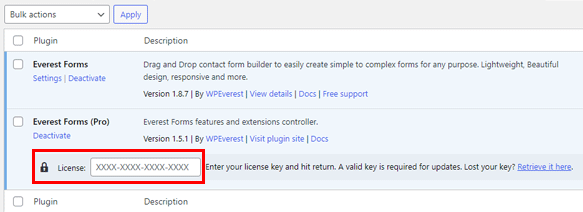 Everest Forms Pro의 라이센스 키 입력
