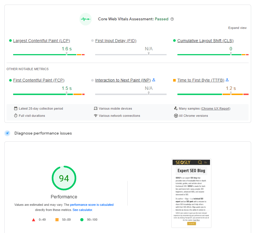 Raport Google PageSpeed ​​Insights - Sursă