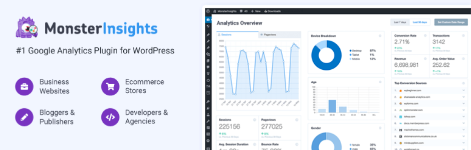 用於分析和 GDPR 的 MonsterInsights 插件