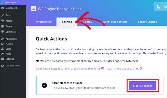 Hapus Cache di WP Engine