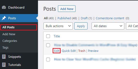 Opsi Edit Posting WordPress