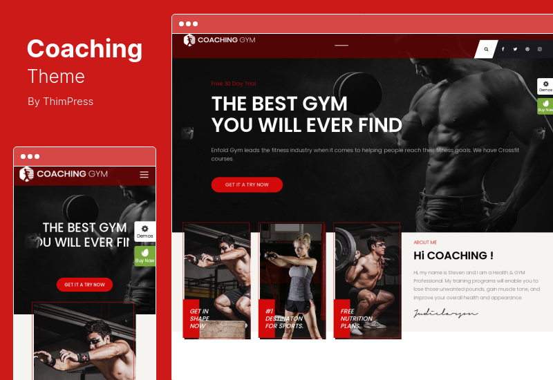 Tema de Coaching - Tema WordPress de Coaching de Fitness de Vida