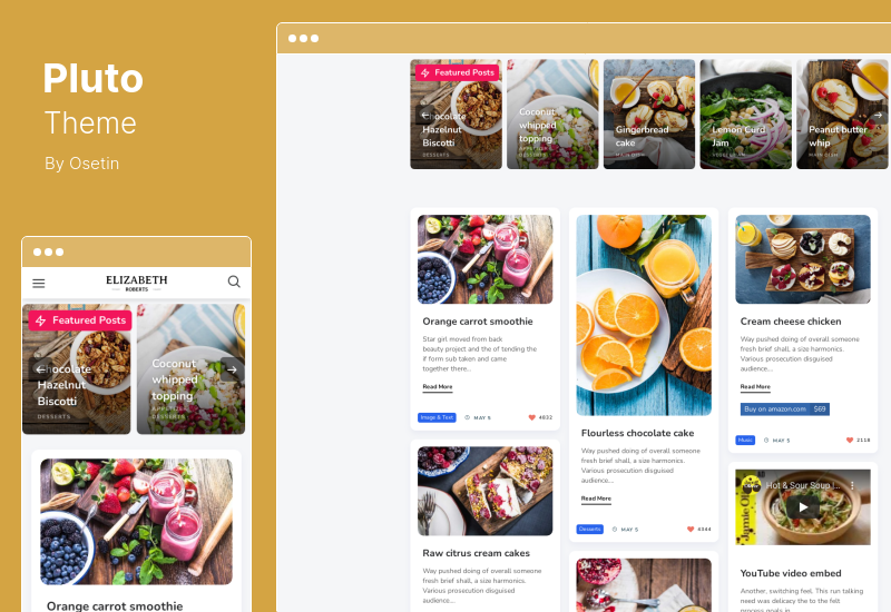 Pluto Theme - Tema Blog Masonry Pribadi untuk WordPress