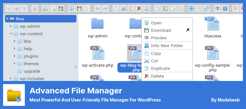 Plugin Advanced File Manager - Il File Manager più potente e intuitivo per WordPress