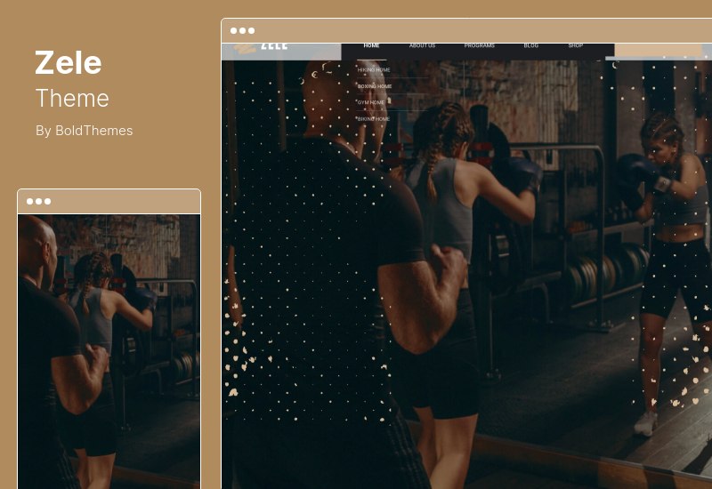 Zele-Thema - Fitness-Fitnessstudio und Sport-WordPress-Theme