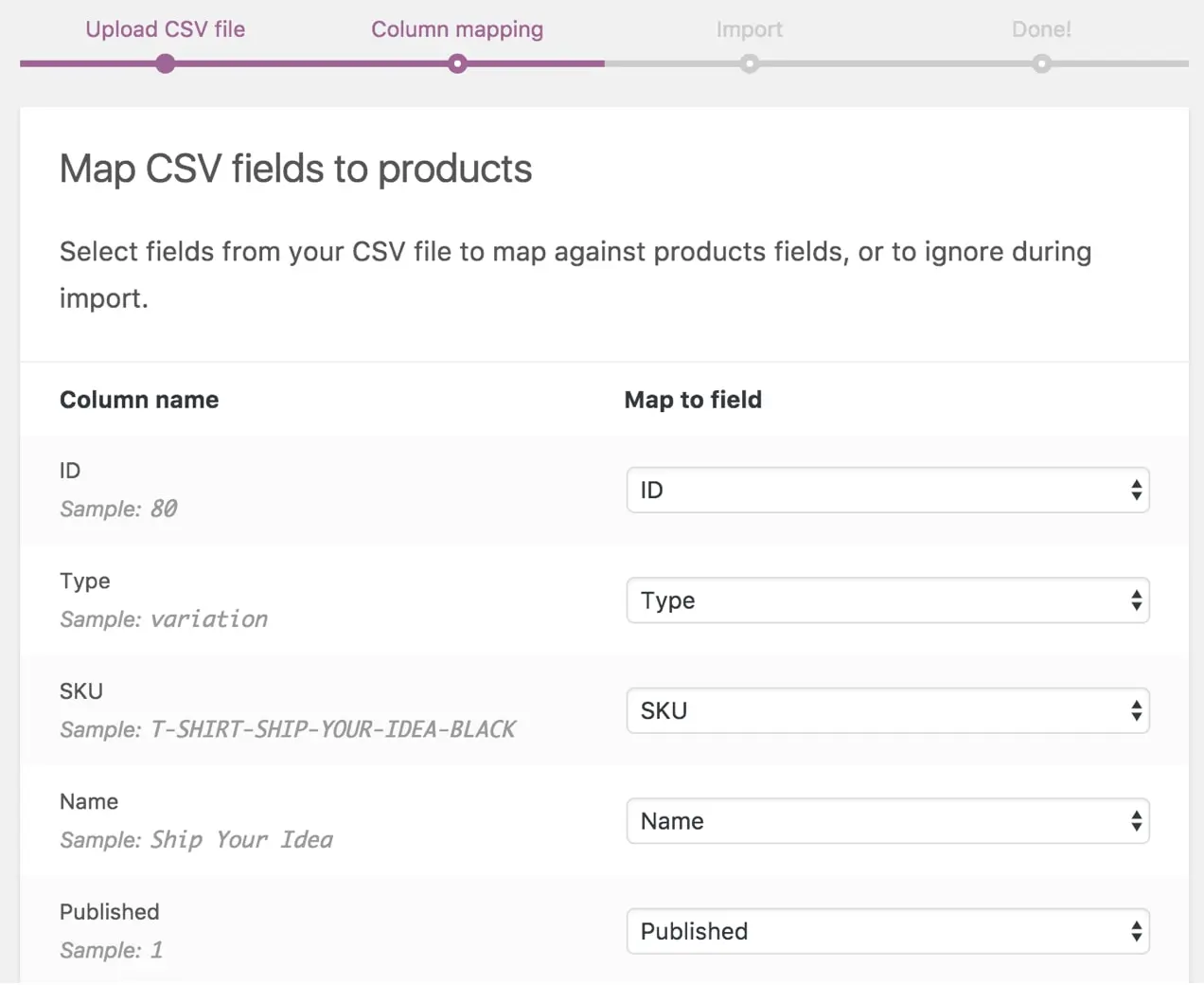 CSV 文件中的映射字段