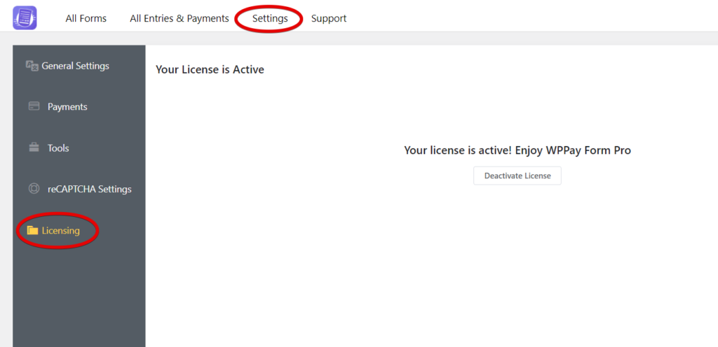 Aktivieren Sie die WPPayForm-Lizenz
