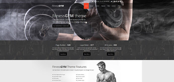 FitnessGYM - Motyw WordPress/Sport/Fitness