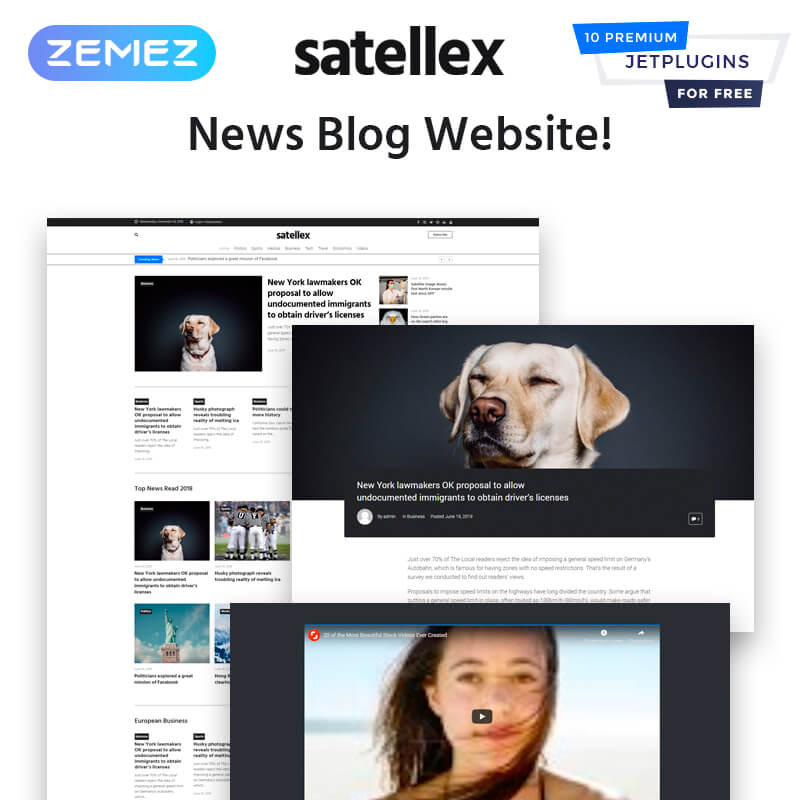 Satellex - บล็อกข่าว ธีม WordPress คลาสสิกอเนกประสงค์