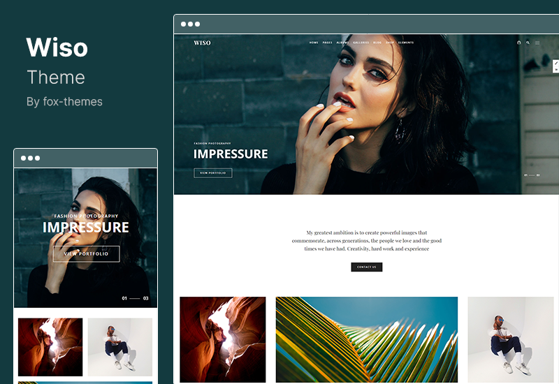 Wiso Theme - 摄影 WordPress 主题