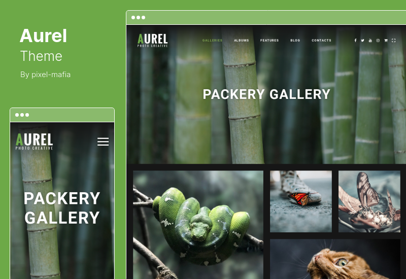 Aurel-Theme - Fotografie-WordPress-Theme