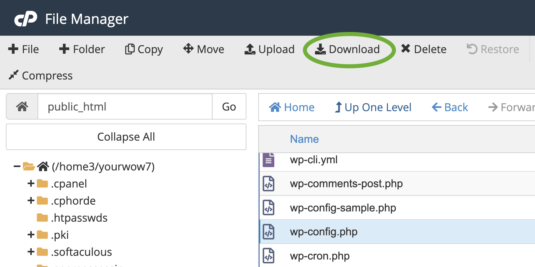 dowload wp-config.php dari cpanel