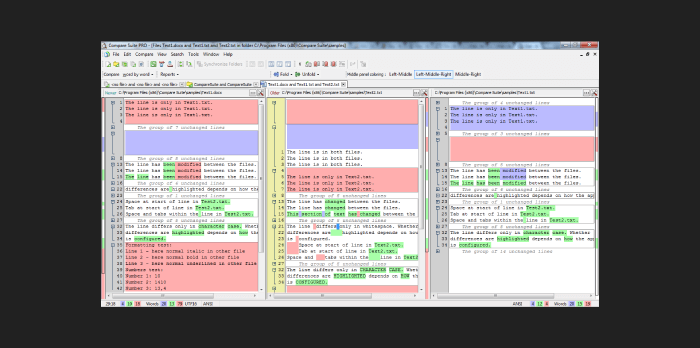 comparer costume outil de comparaison de texte