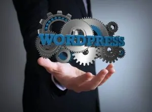 Comprobador de complementos de WordPress - Verifique su seguridad