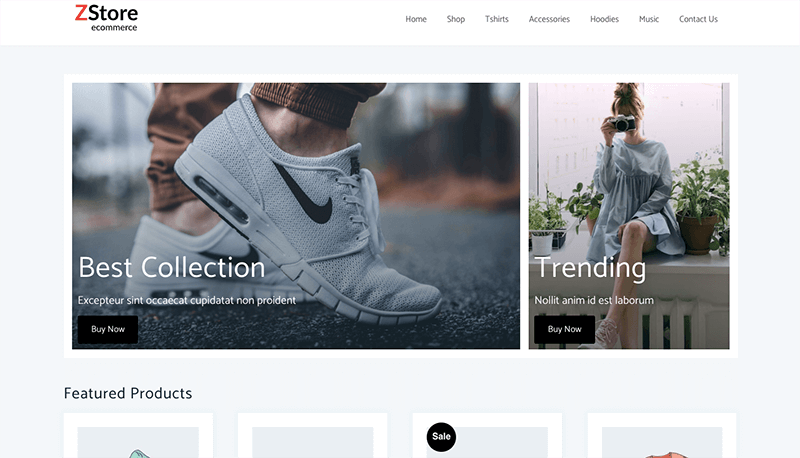 WooCommerce Elementor Themes