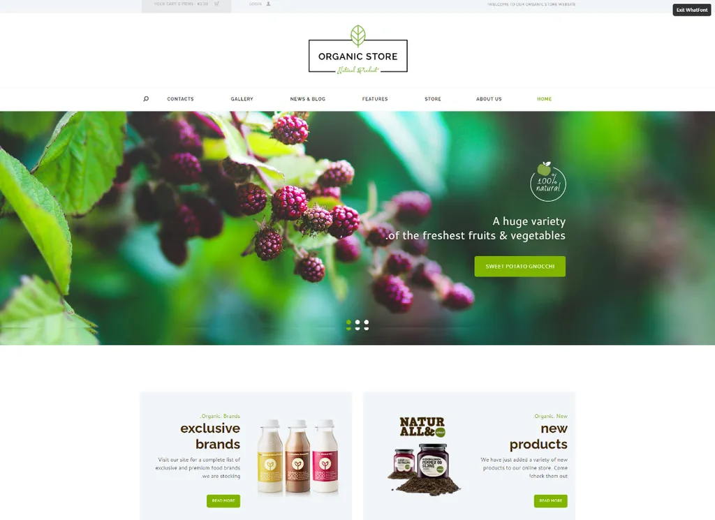 Organic Store - Eco Products Shop WordPress 主题 + RTL