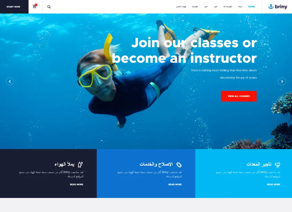 Briny - 水肺潜水学校和水上运动 WordPress 主题 + RTL