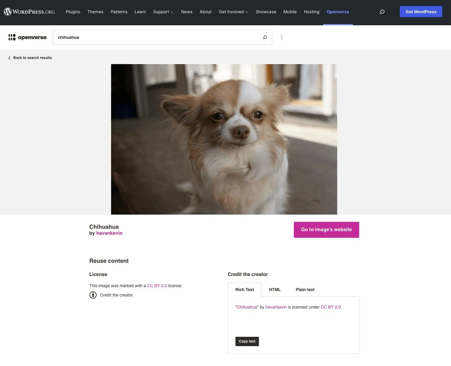 Photo de chien Chihuahua sous licence commune créative via Openverse