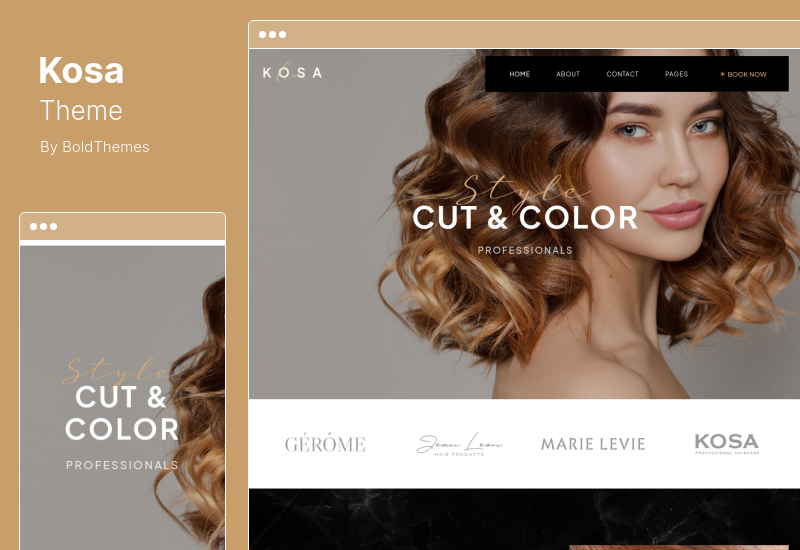 Kosa 主题 - 美发沙龙和美发师 WordPress 主题
