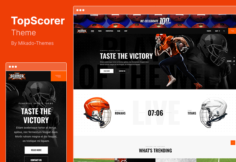 TopScorer Theme - Спортивная тема WordPress