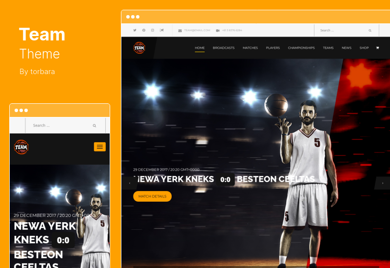 Team Theme — тема WordPress для футбола, футбола, хоккея, баскетбольного клуба и киберспорта