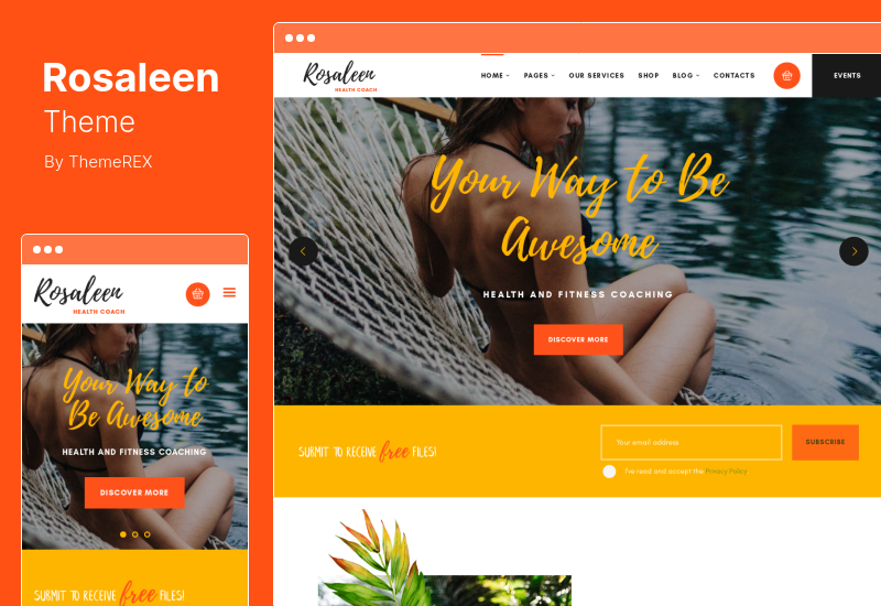 ธีม Rosaleen - โค้ชด้านสุขภาพ, แรงจูงใจของวิทยากร WordPress Theme