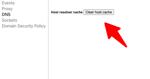 Chrom-DNS-Cache