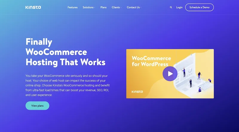 Kinsta WooCommerce 托管