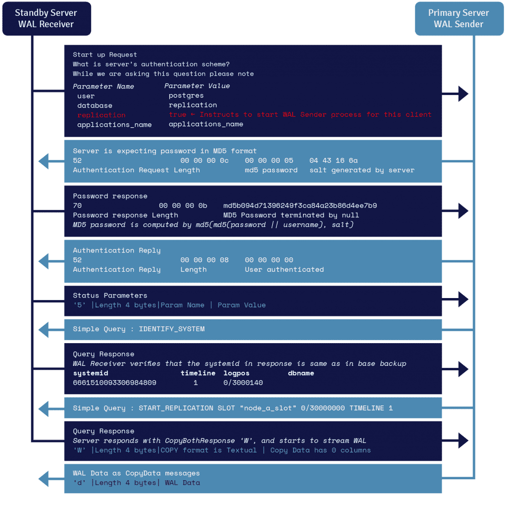 O diagramă de flux care ilustrează pașii implicați în procesul WAL Streaming Protocol între serverele primare și cele de așteptare.