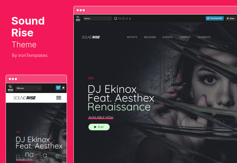 SoundRise Theme – Künstler, Produzenten und Plattenlabels WordPress Theme