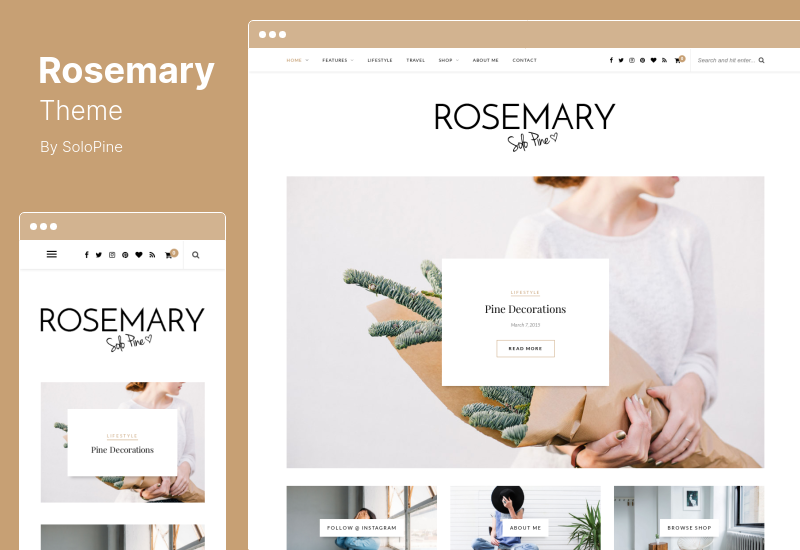 Rosemary Theme – Ein ansprechendes WordPress-Theme für Blogs