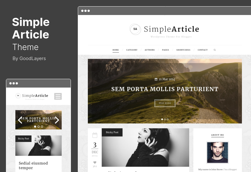 Tema dell'articolo semplice - Tema WordPress del blog personale