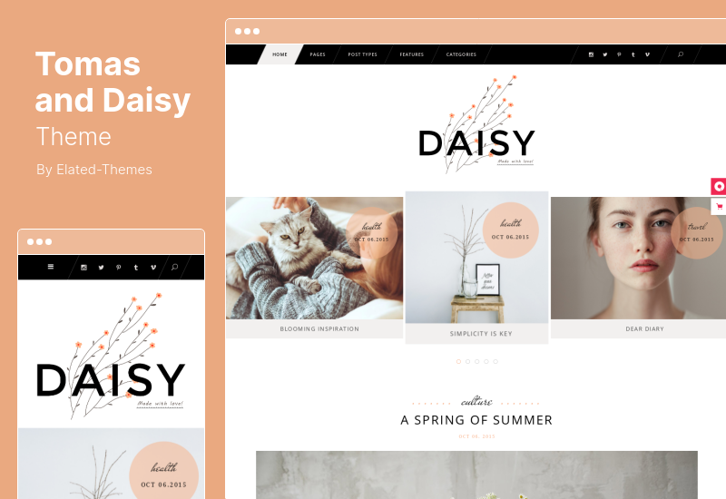 Tema Tomas și Daisy - Tema WordPress pentru blog personal