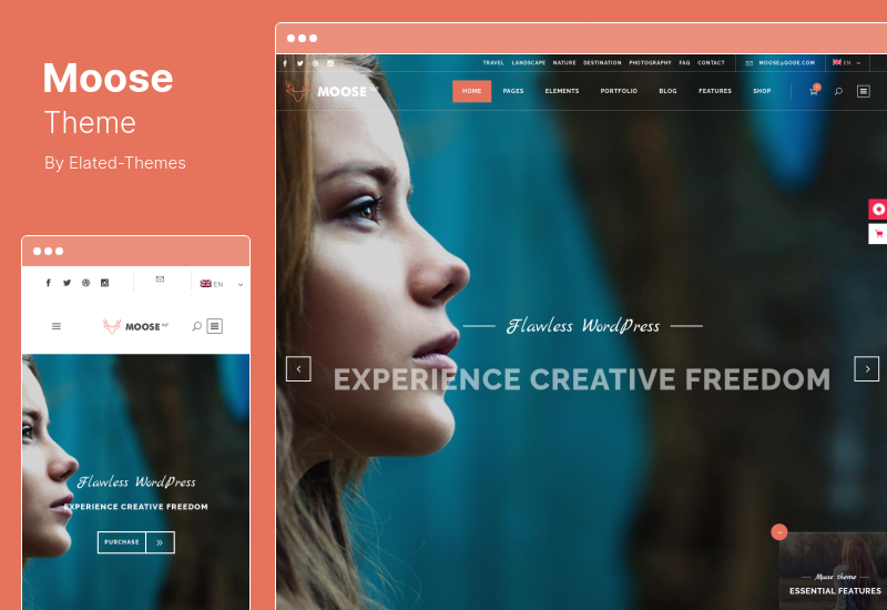 Tema Moose - Tema WordPress Serbaguna Kreatif