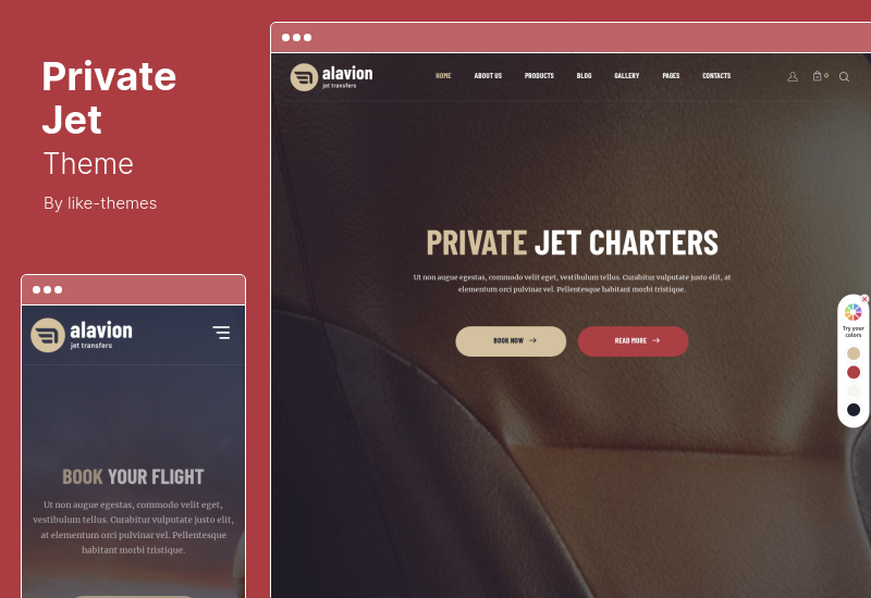 Tema del jet privato - Tema WordPress per il charter del jet privato