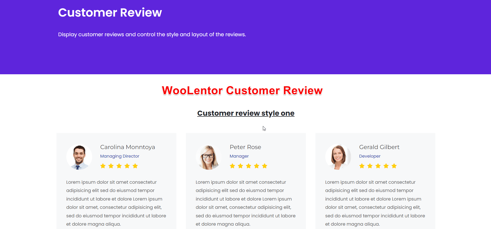 Revisión del cliente del constructor WooLentor WooCommerce