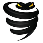 logo vyprvpn