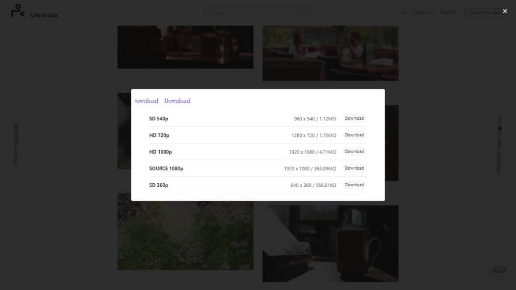 Opsi unduhan Life of Vids