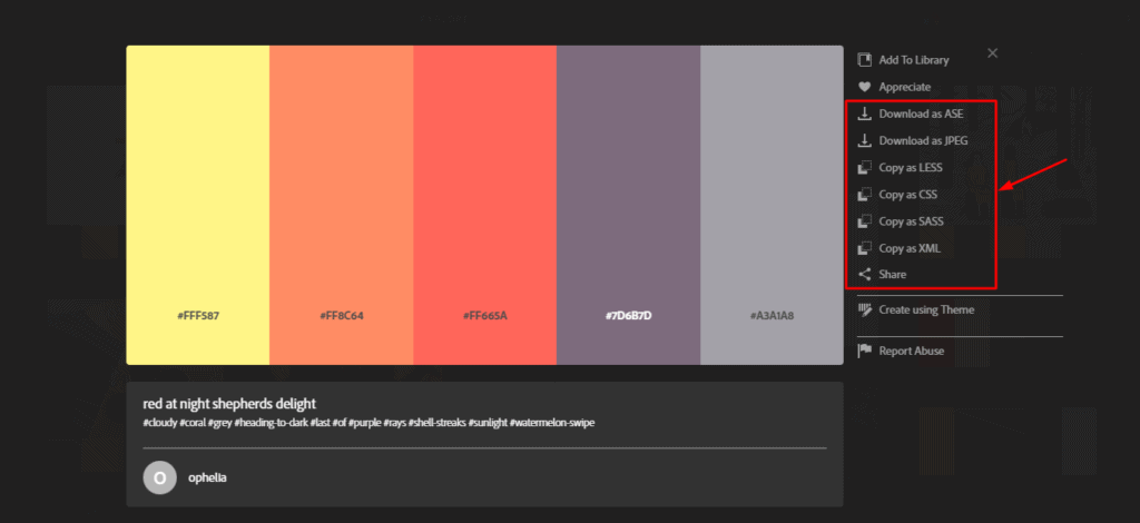 Adobe Color 中的導出選項