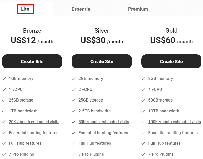 Paket Hosting WPMU DEV - Lite