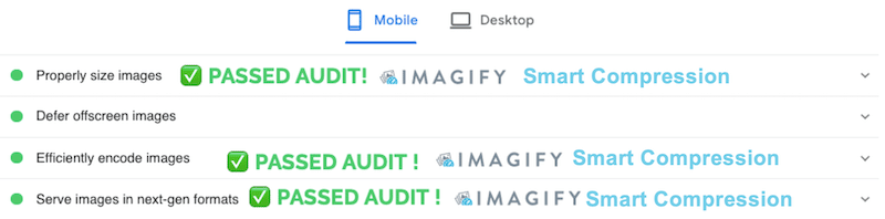 Audit superato con Imagify - Fonte: PageSpeed ​​Insights