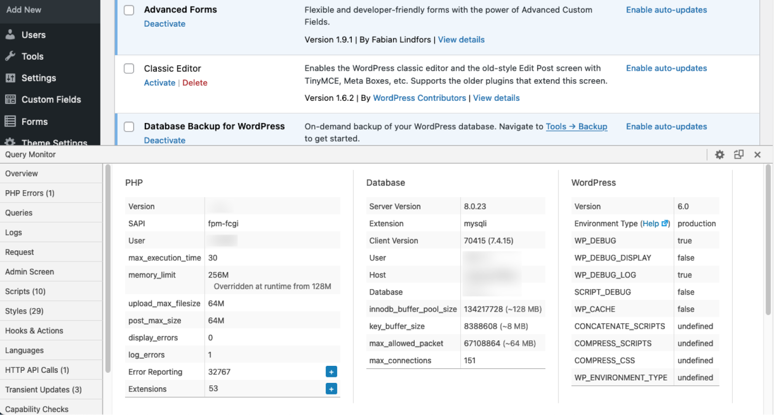 Query Monitor プラグインの「環境」パネル。一般的に使用される wp-config 定数がいくつか表示されています。