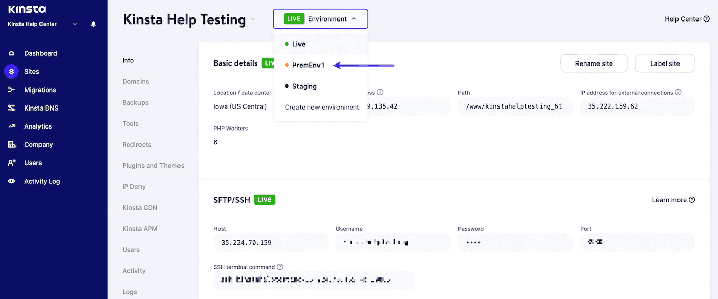 Wybór Premium Staging Environment w MyKinsta.