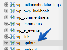 Tabella delle opzioni di WordPress nel database WP