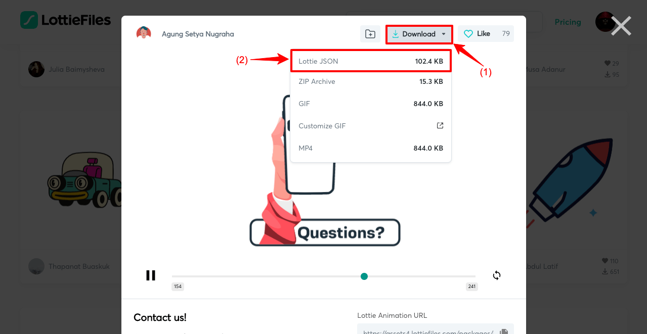 How to Download the Lottie Animatioin Files