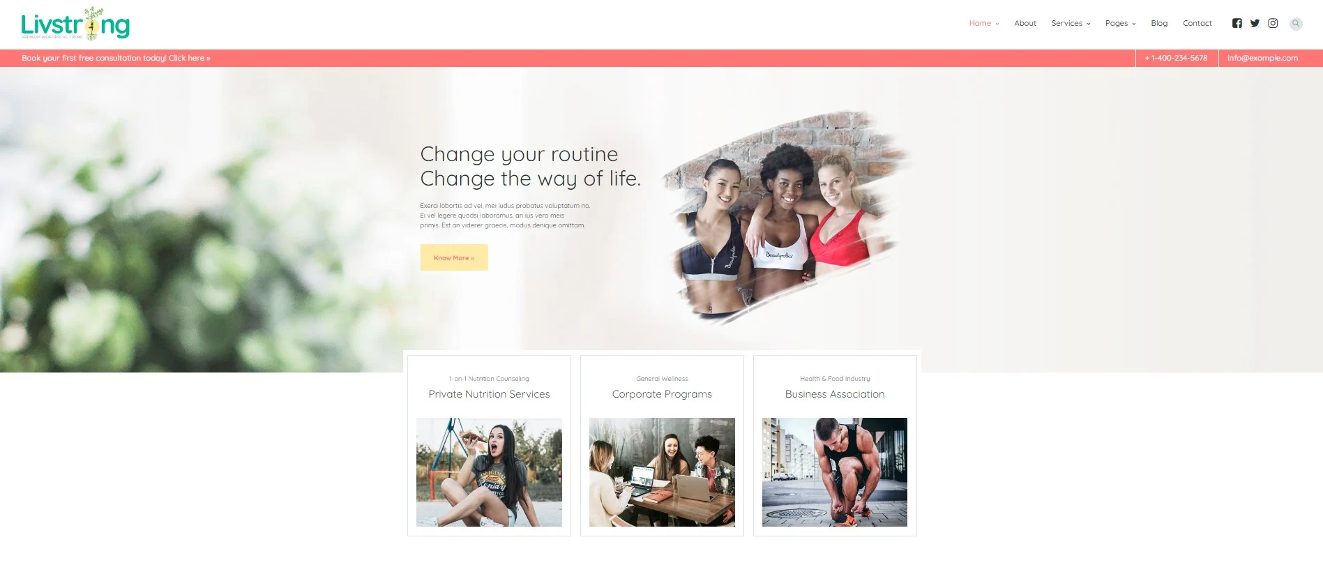 livstrong a health coach wordpress theme free download.jpg