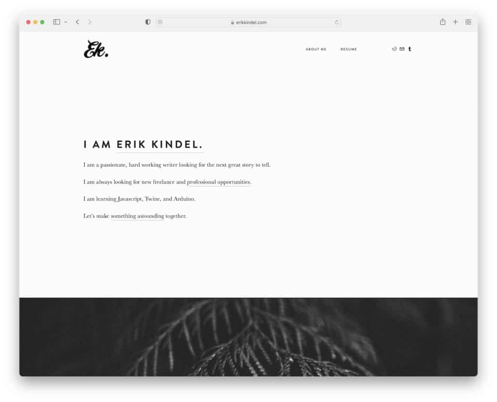 Site de CV d'Erik Kindel