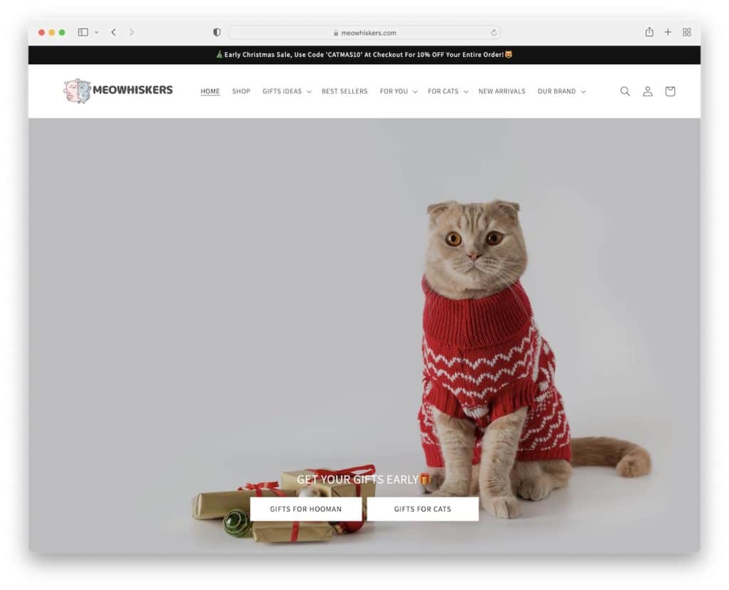 ejemplo de sitio web de dropshipping meowhiskers